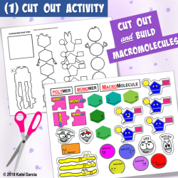 Building macromolecules activity answer key