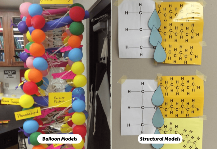 Building macromolecules activity answer key