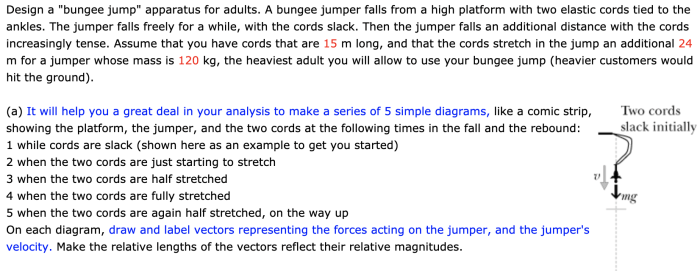 Bungee jump cords apparatus adults jumper falls two platform elastic high solved legibly write clear please